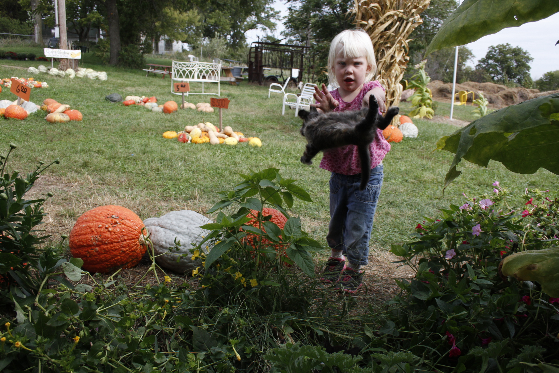 The Kids' Farm